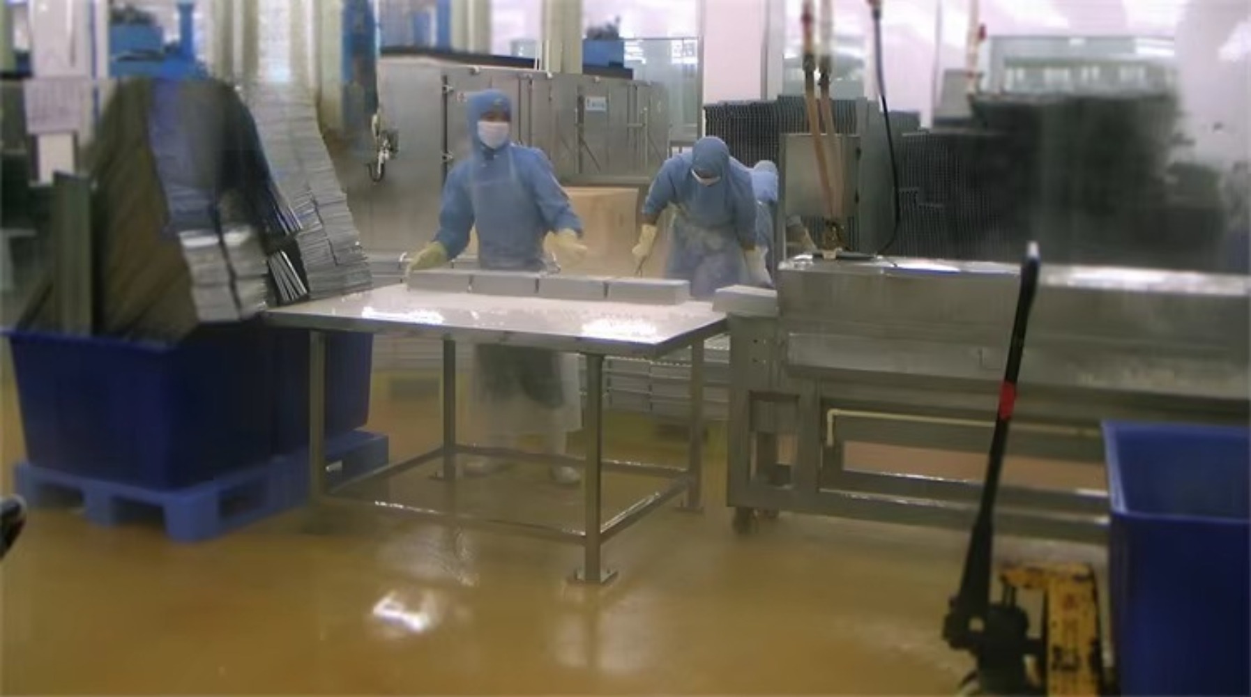 Seafood fish and shrimp proces – Fishing Equipment In recenzja i cena